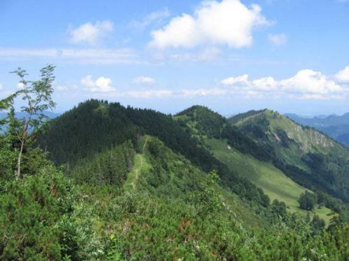 Landgasthof Kirchenwirt Grossraming المظهر الخارجي الصورة