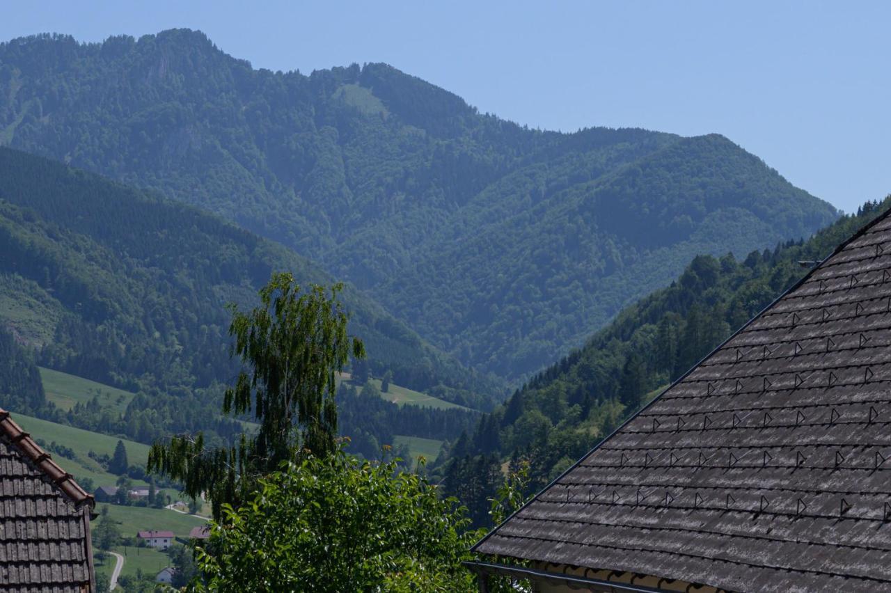 Landgasthof Kirchenwirt Grossraming المظهر الخارجي الصورة